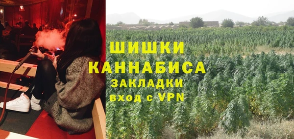 ПСИЛОЦИБИНОВЫЕ ГРИБЫ Беломорск