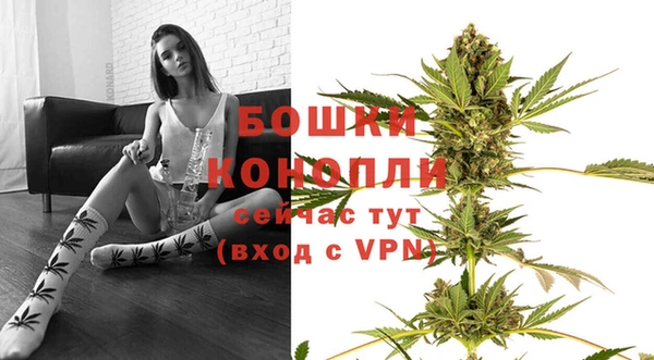ПСИЛОЦИБИНОВЫЕ ГРИБЫ Беломорск