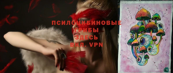 ПСИЛОЦИБИНОВЫЕ ГРИБЫ Беломорск